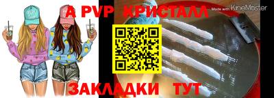 гашик Кингисепп