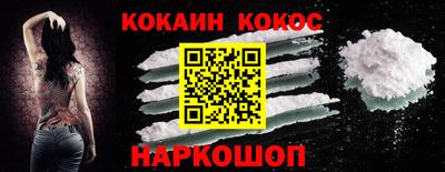 гашик Кингисепп