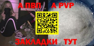 гашик Кингисепп