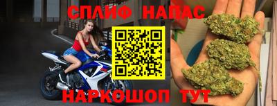 гашик Кингисепп