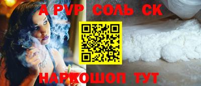 гашик Кингисепп
