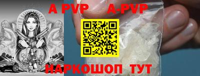 гашик Кингисепп