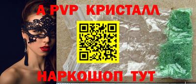 гашик Кингисепп
