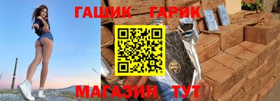 гашик Кингисепп