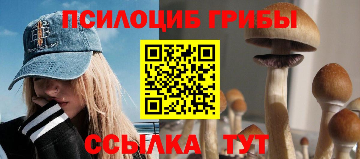 Галлюциногенные грибы Cubensis Бирск